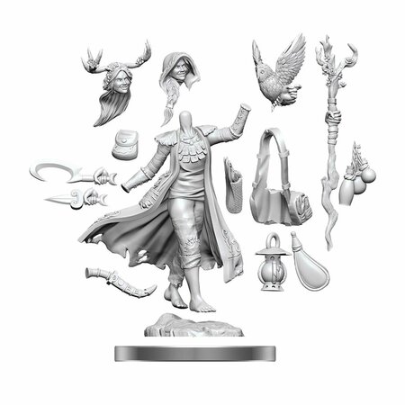 TOYS4.0 Female Dungeons & Dragons Frameworks Wave 1 Human Druid Miniatures TO2740341